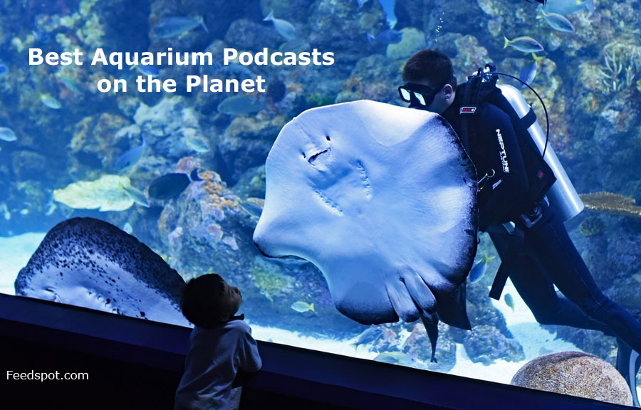 Cover image for Top 10 aquarium podcasts 2027
