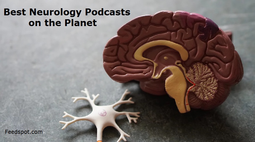 20 Best Neurology Podcasts to Listen to in 2025